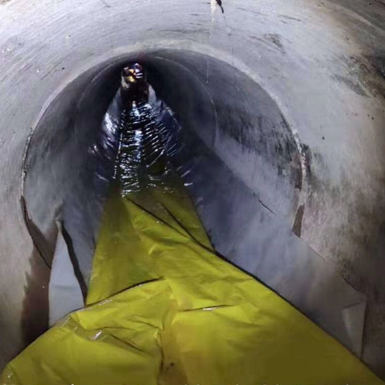 岳阳楼管道光固化修复